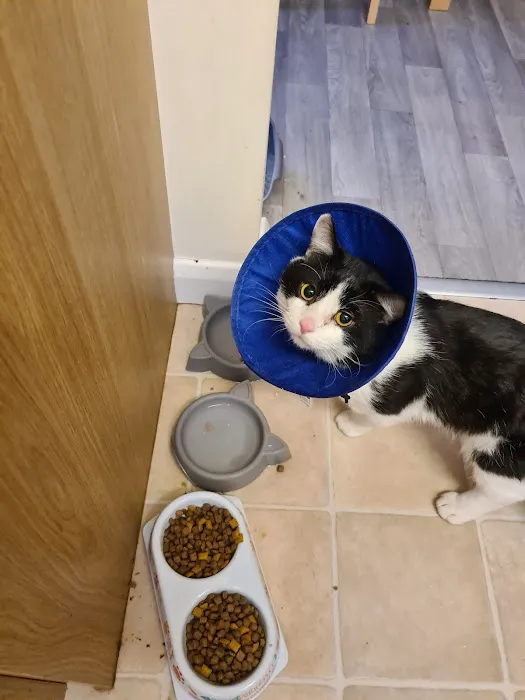 Vets for Pets - Hemsworth Picture 4