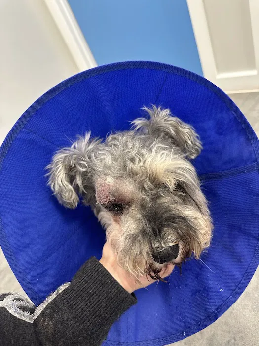 Highfield Veterinary Centre Picture 2