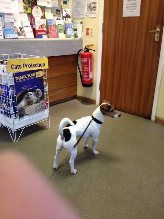 Hallam Veterinary Centre Picture 8