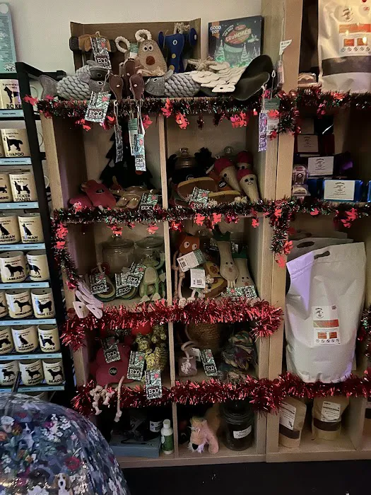 ZOOM-EZE IN THE PARK Picture 10