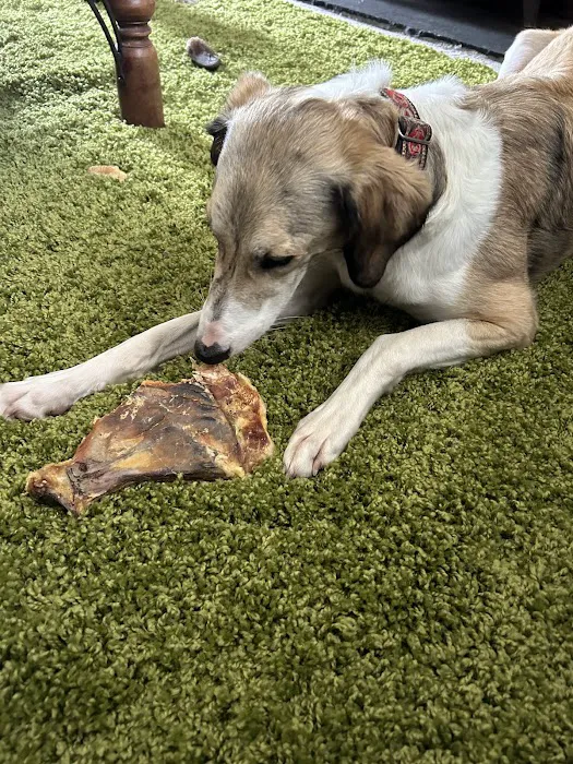 ZOOM-EZE IN THE PARK Picture 6