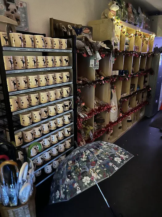 ZOOM-EZE IN THE PARK Picture 4