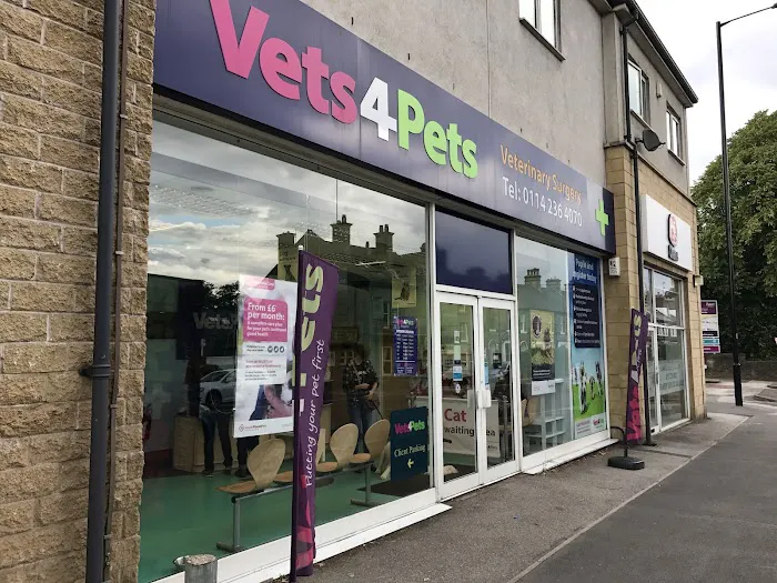 Vets4Pets - Millhouses Picture 3