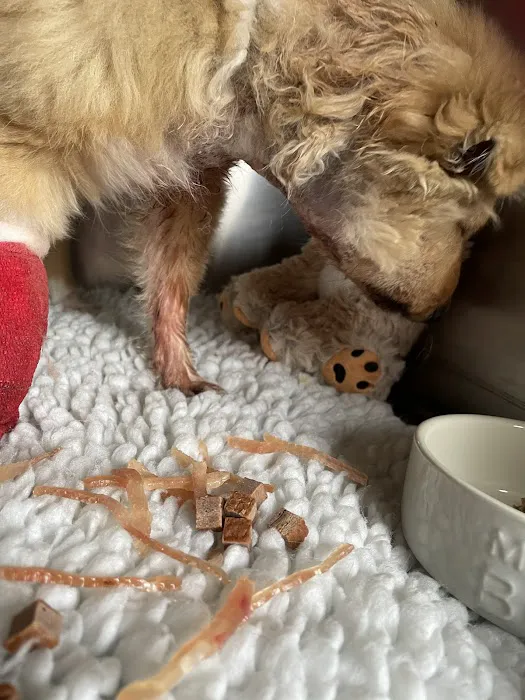 Park Veterinary Hospital Picture 3