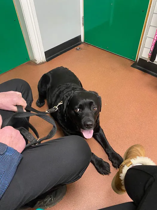 Park Veterinary Hospital Picture 9