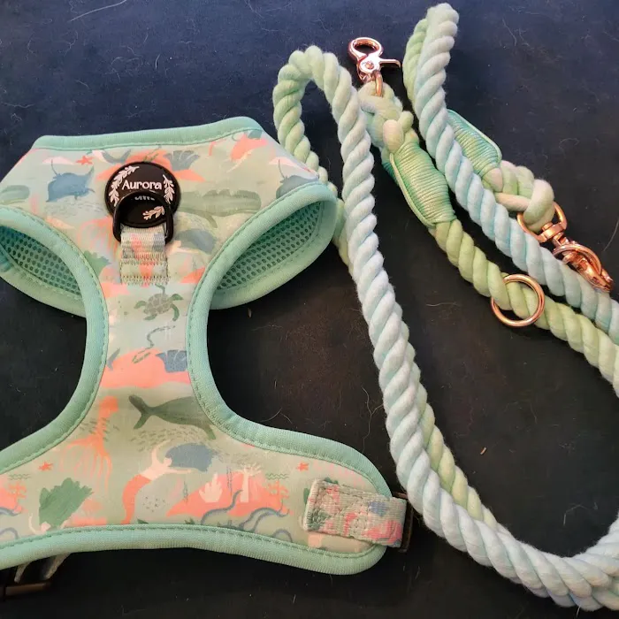 Aurora Paws Picture 8