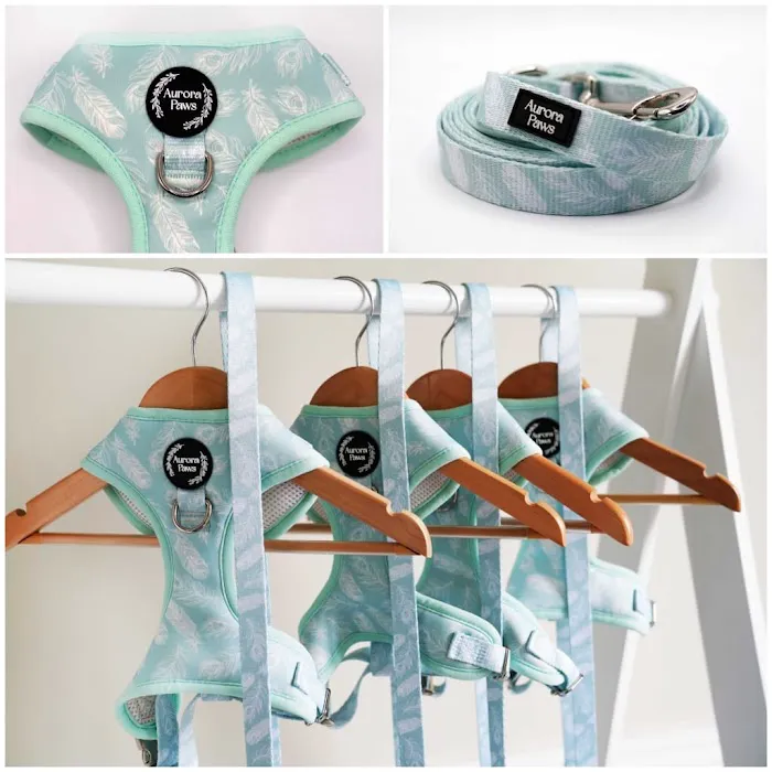 Aurora Paws Picture 9