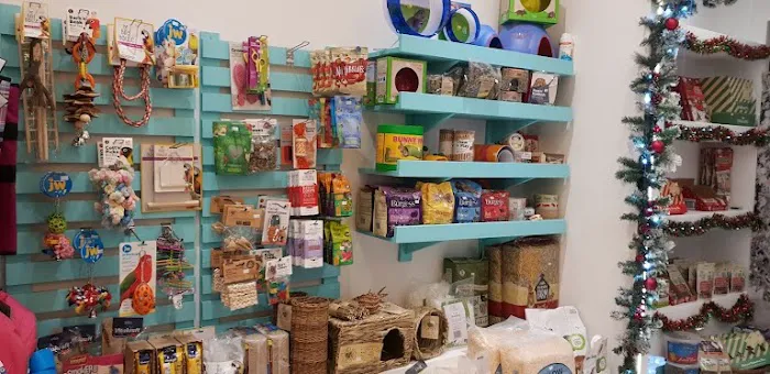 Benjamins Boutique Specialist Pet Store Picture 2