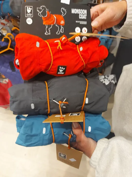 Benjamins Boutique Specialist Pet Store Picture 8