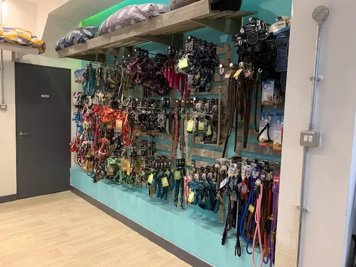 Benjamins Boutique Specialist Pet Store Picture 4