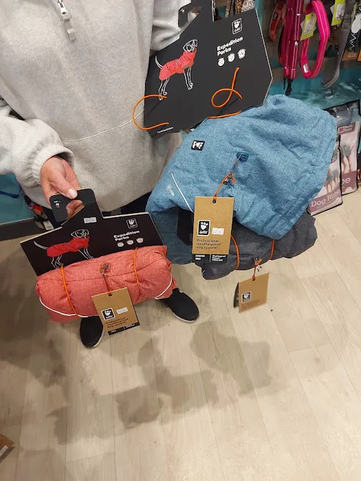 Benjamins Boutique Specialist Pet Store Picture 10