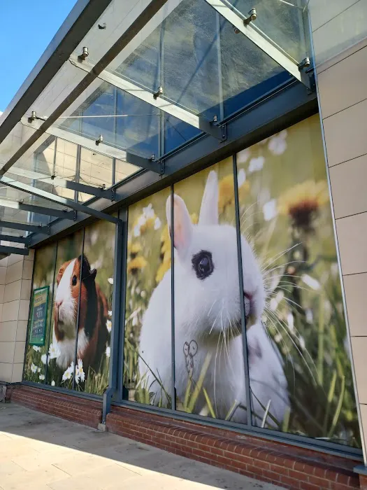Vets for Pets - Sheffield Wadsley Bridge Picture 2