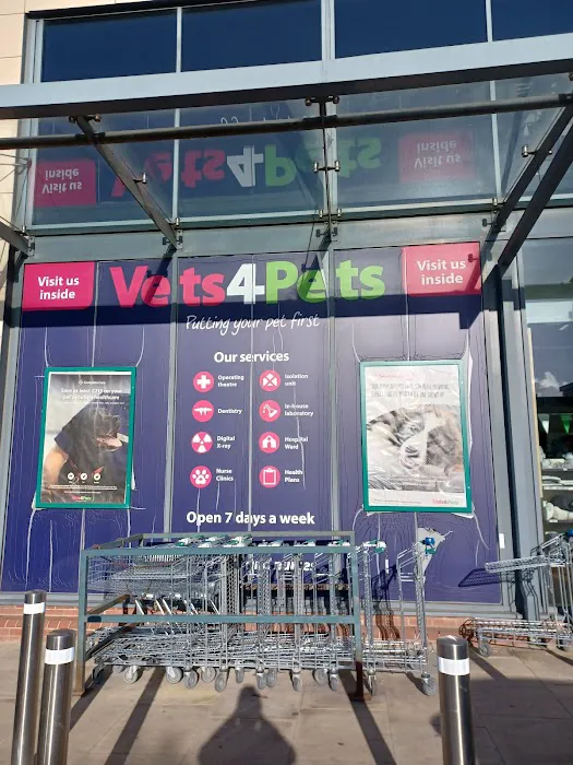 Vets for Pets - Sheffield Wadsley Bridge Picture 8