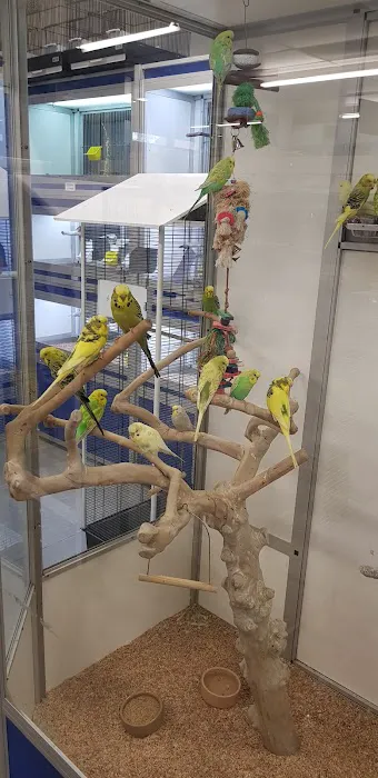 Natural world pet store Picture 3