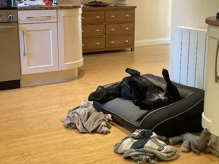 Natural world pet store Picture 6