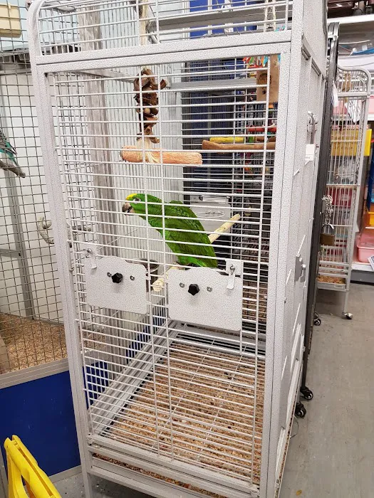 Natural world pet store Picture 8