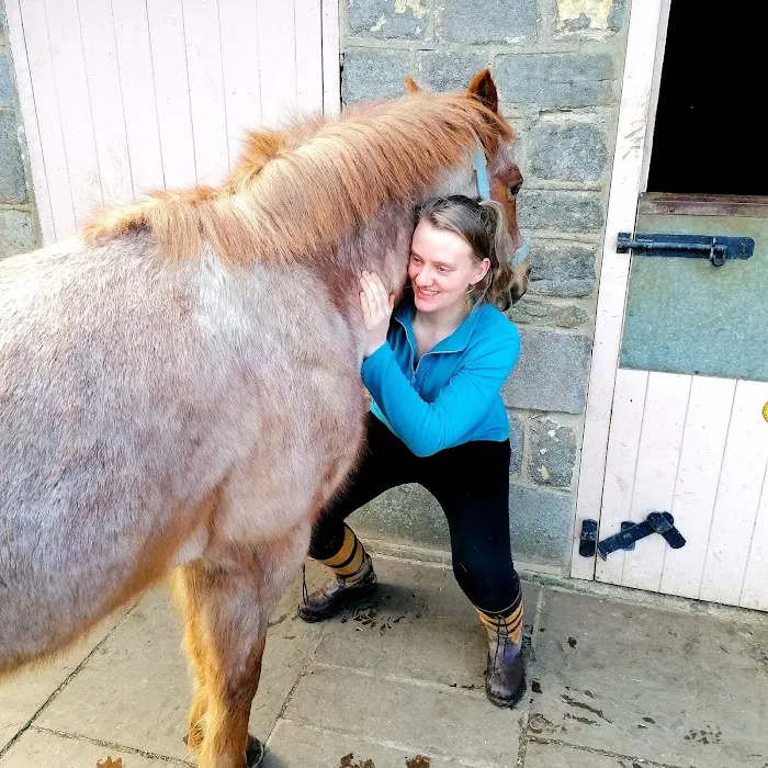 Beth Absolon Mctimoney Animal Chiropractor Picture 5