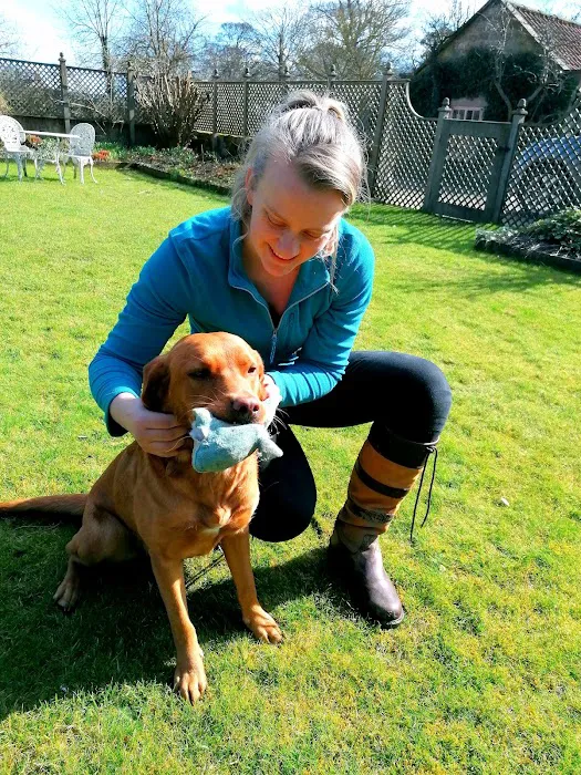 Beth Absolon Mctimoney Animal Chiropractor Picture 3