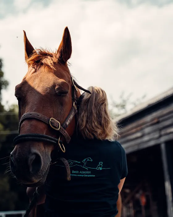 Beth Absolon Mctimoney Animal Chiropractor Picture 6