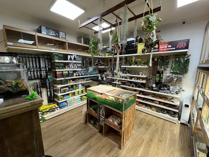 Riverview Reptiles Picture 8