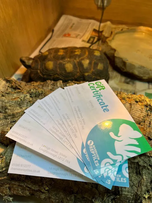 Riverview Reptiles Picture 7