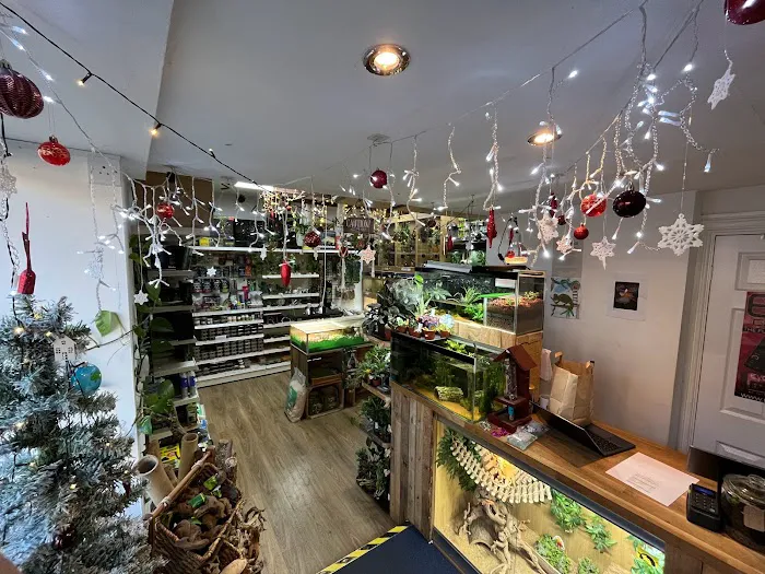 Riverview Reptiles Picture 1