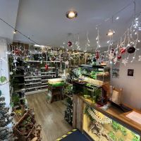 Riverview Reptiles ico