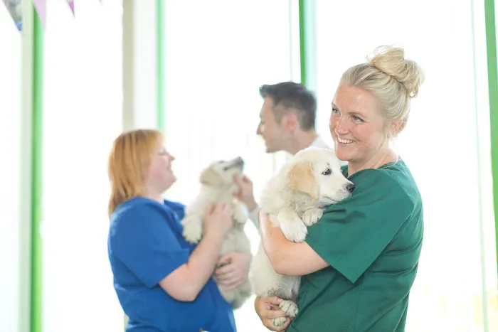 Kirks Vets Picture 3