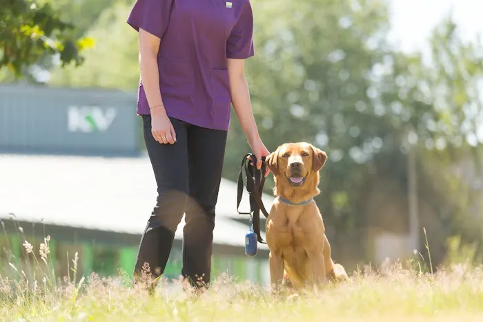 Kirks Vets Picture 10