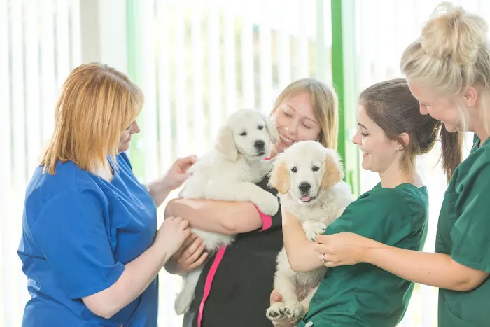Kirks Vets Picture 5