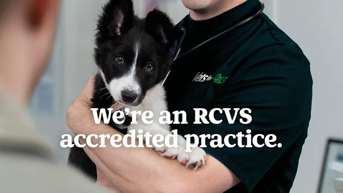 Vets for Pets - Grantham Picture 9