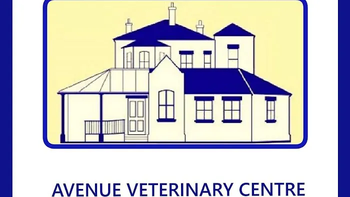 Avenue Veterinary Centre Picture 2