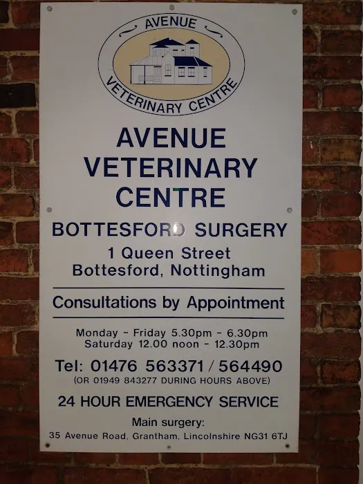 Avenue Veterinary Centre Picture 9