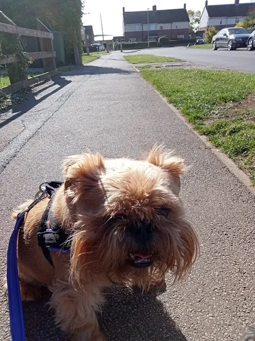 Oakdale Veterinary Surgery Picture 4