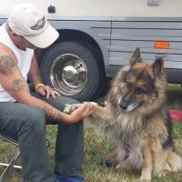 Oakdale Veterinary Surgery ico