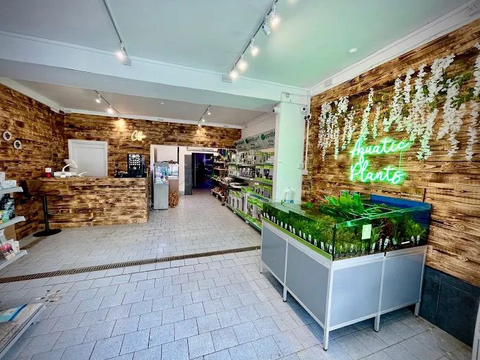 Friends In Soggy Homes Picture 2