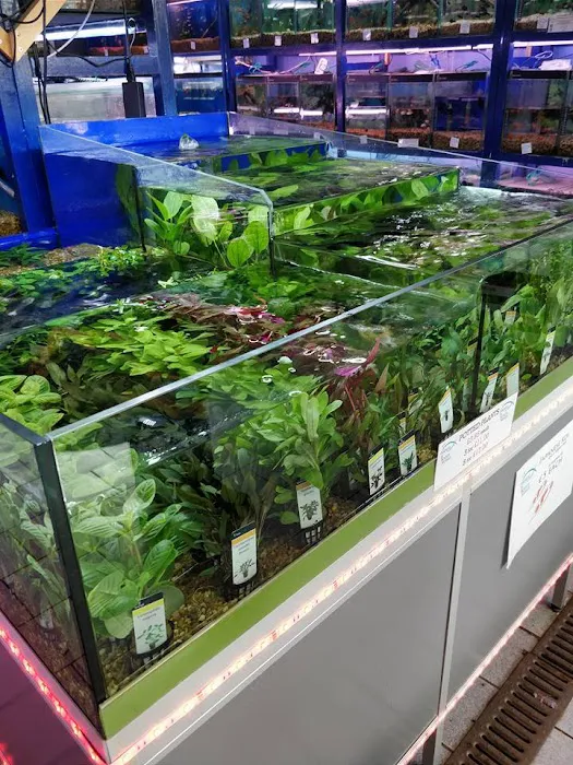 Friends In Soggy Homes Picture 3