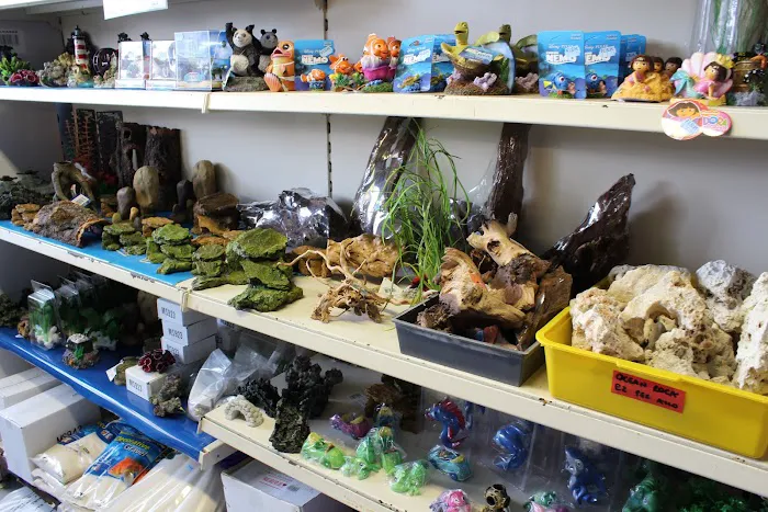 Friends In Soggy Homes Picture 1