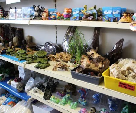 Friends In Soggy Homes