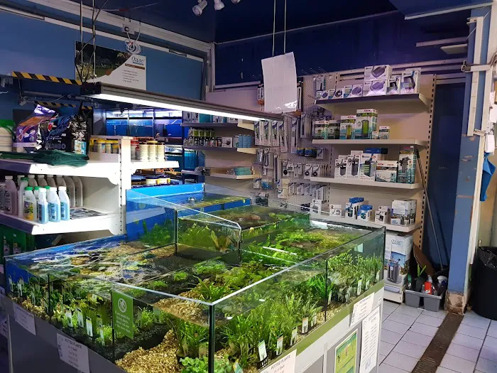 Friends In Soggy Homes Picture 5