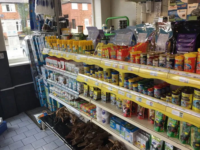 Friends In Soggy Homes Picture 8