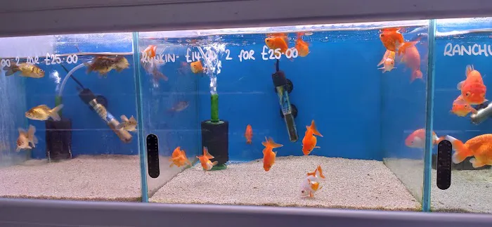 Friends In Soggy Homes Picture 7