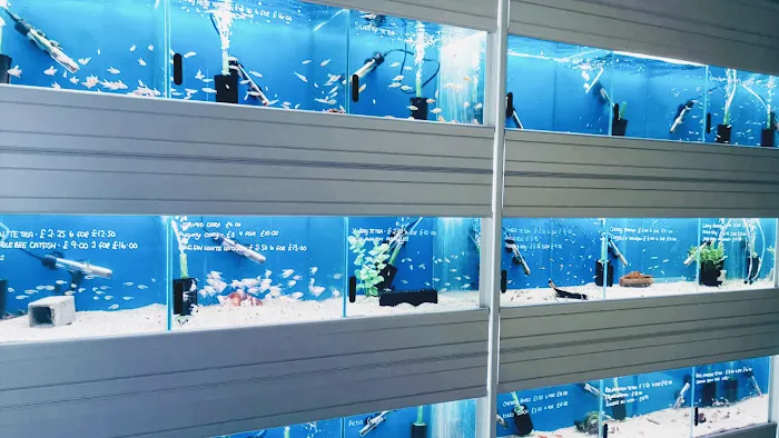 Friends In Soggy Homes Picture 10