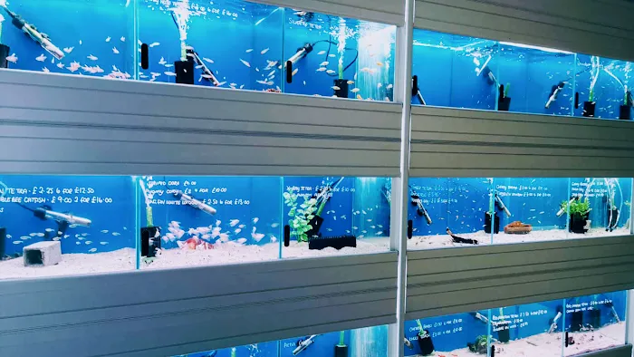 Friends In Soggy Homes Picture 9