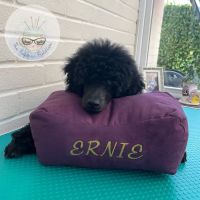 The Fabric Fiddler ico