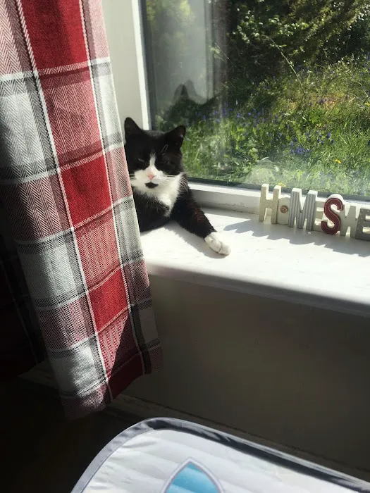 Medivet Peterborough Whittlesey Picture 6