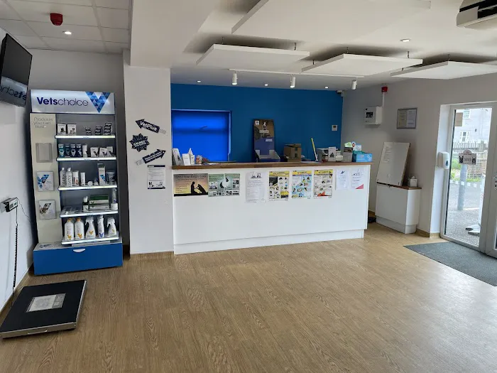 Medivet Peterborough Whittlesey Picture 3