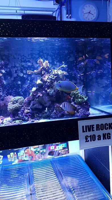 Clearwater Aquatics Picture 2