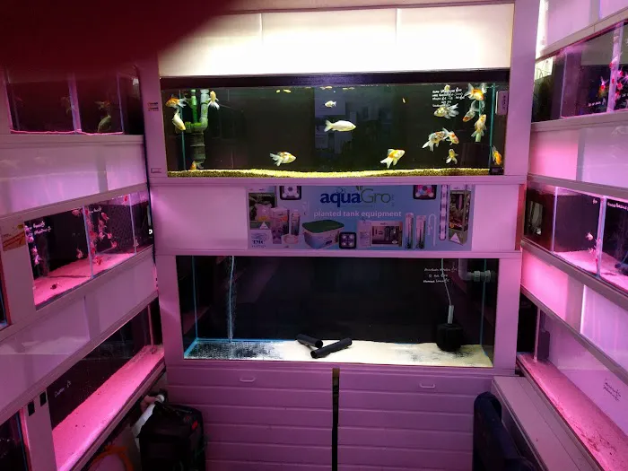 Clearwater Aquatics Picture 1