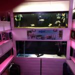 Clearwater Aquatics